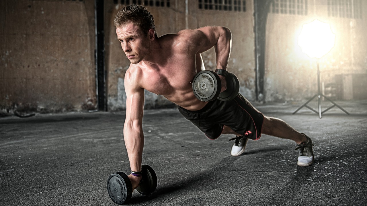 Nextlevelbodytransform Fitness Club collection